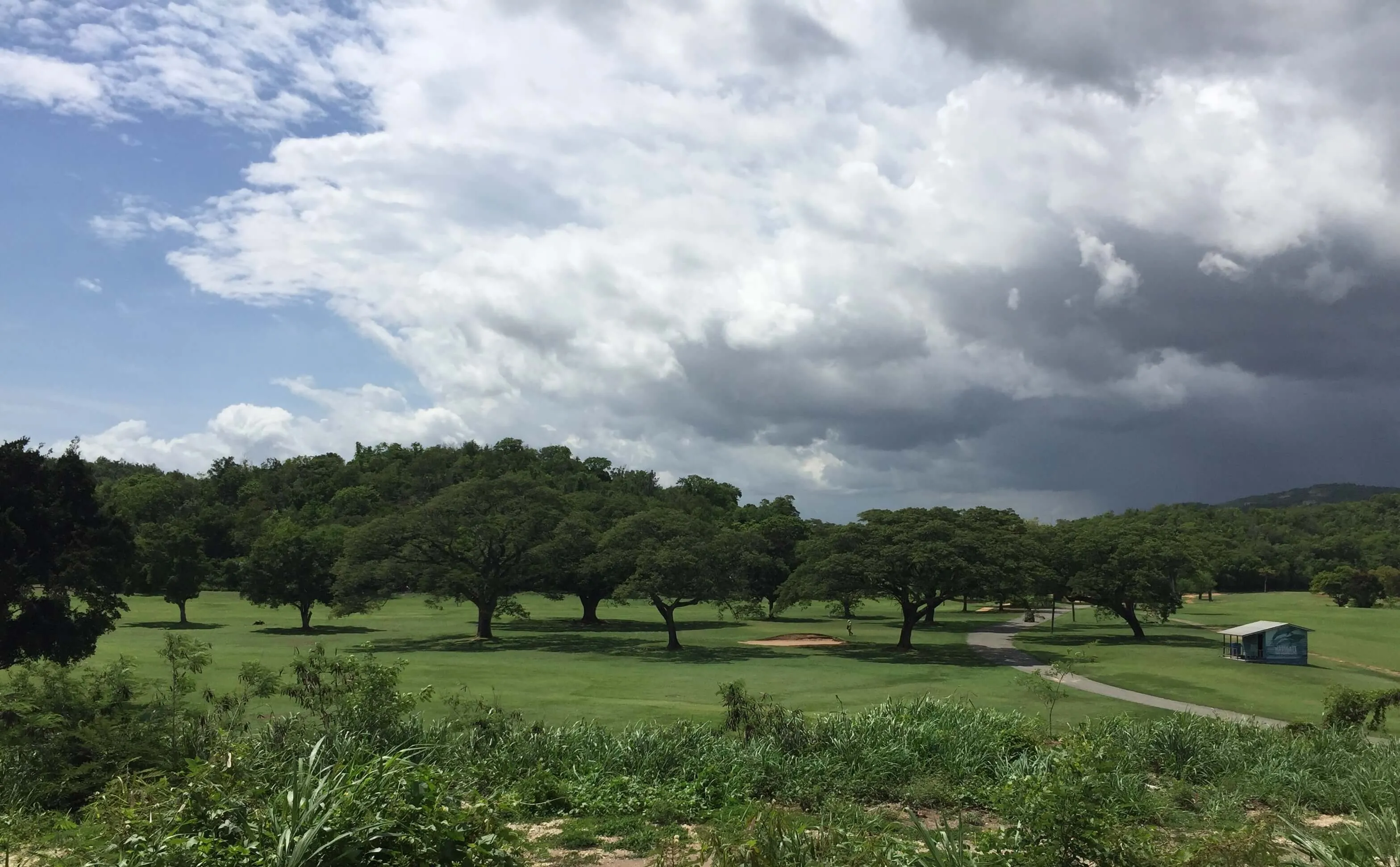 Wedding lawn at Caymanas